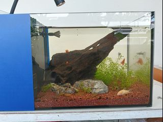(Category: ) located in . Submitted by misskeu (Listing ID 1445508670, Image 1). Description: .