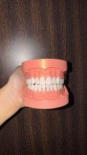 (Category: ) located in . Submitted by dentessentials (Listing ID 1445585439, Image 1). Description: .