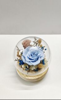 (Category: ) located in . Submitted by luv4flowers (Listing ID 1445581039, Image 1). Description: .