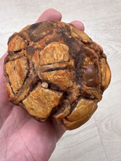 (Category: ) located in . Submitted by ornamental_rocks (Listing ID 1445455636, Image 1). Description: .