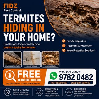 Termites Exterminator  Collection item 1