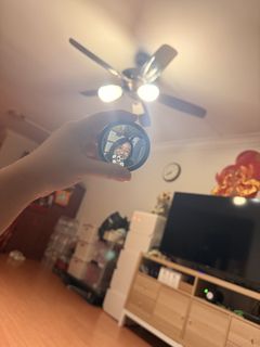 (Category: ) located in . Submitted by chellesiee (Listing ID 1445721894, Image 1). Description: .