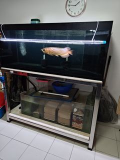 (Category: ) located in . Submitted by alvin_555 (Listing ID 1445779203, Image 1). Description: .