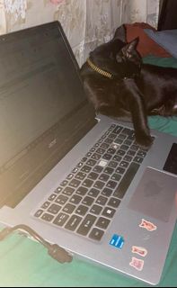 (Category: ) located in . Submitted by queeneejavier (Listing ID 1445647005, Image 1). Description: .