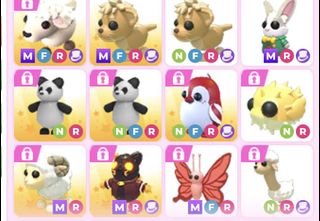 (Category: ) located in . Submitted by swiftmoon766 (Listing ID 1445715117, Image 1). Description: .