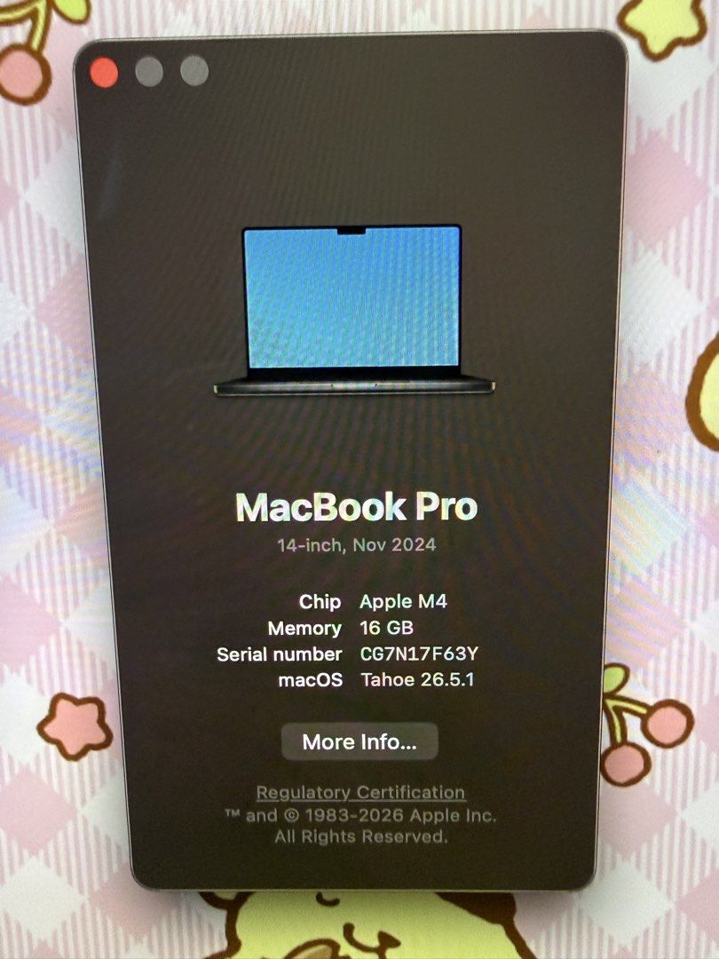 Apple MacBook Pro 14-inch M4 Chip491064355498250243