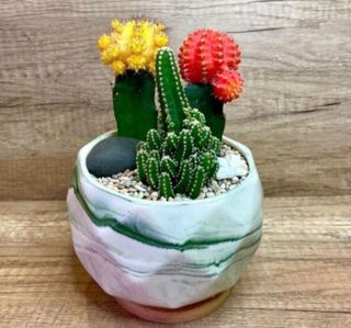 (Category: ) located in . Submitted by lushglassdoor (Listing ID 1445660274, Image 1). Description: .