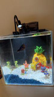 (Category: ) located in . Submitted by ryan6520 (Listing ID 1445763228, Image 1). Description: .