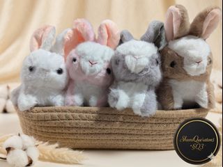 (Category: ) located in . Submitted by shamiqueration3-giftsngoods (Listing ID 1445610309, Image 1). Description: .