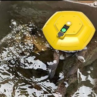 (Category: ) located in . Submitted by onefishing (Listing ID 1445672542, Image 1). Description: .