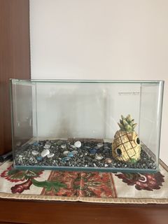 （分類：）位於 。 由 happyness999 提交（商品編號 1445698039，圖片 1）。簡介： 。