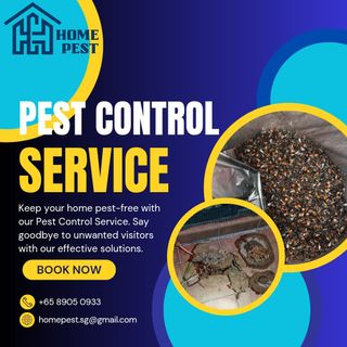 (Category: ) located in . Submitted by home_pest_specialist (Listing ID 1445271713, Image 1). Description: .