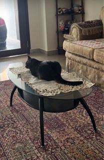 (Category: ) located in . Submitted by tc118 (Listing ID 1445617366, Image 1). Description: .