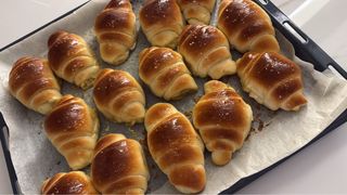 (Category: ) located in . Submitted by nelle2266 (Listing ID 1445635058, Image 1). Description: .