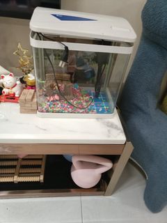 (Category: ) located in . Submitted by adendaboy4 (Listing ID 1445746163, Image 1). Description: .