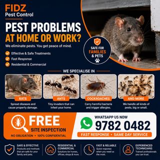 (Category: ) located in . Submitted by FIDZPESTCONTROLTEAM (Listing ID 1362051145, Image 1). Description: .
