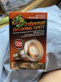 （分類：）位於 。 由 chinggg00615 提交（商品編號 1445825992，圖片 1）。簡介： 。