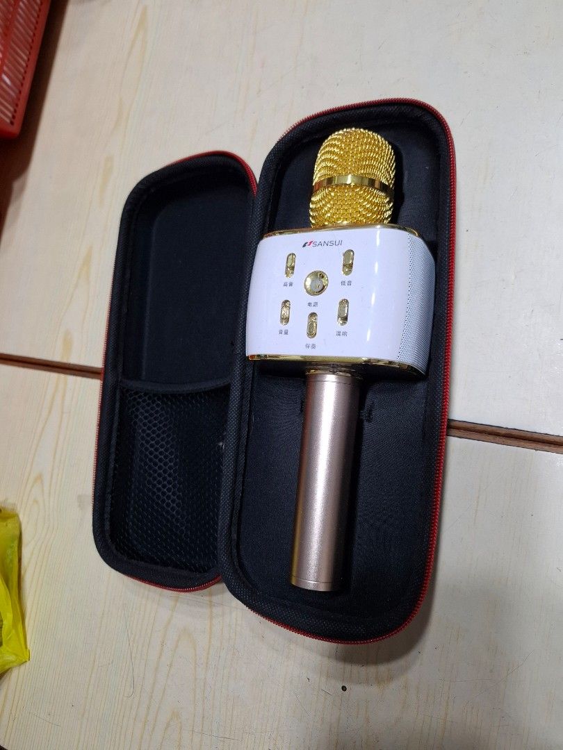 🎤  mic with SD card sing  along