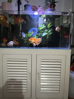 (Category: ) located in . Submitted by zsl99 (Listing ID 1438837581, Image 1). Description: .