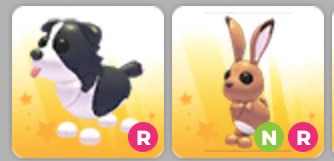 (Category: ) located in . Submitted by doirune (Listing ID 1445898853, Image 1). Description: .
