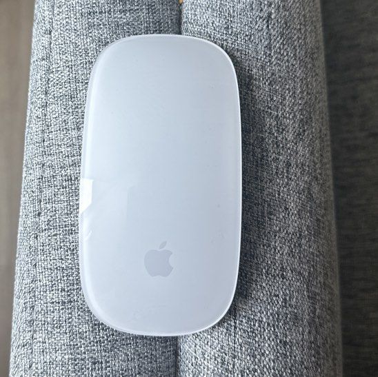 Apple Magic Mouse491994991391549440