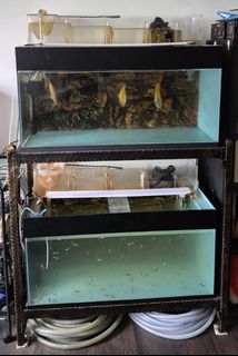 (Category: ) located in . Submitted by ray7236 (Listing ID 1445841484, Image 1). Description: .