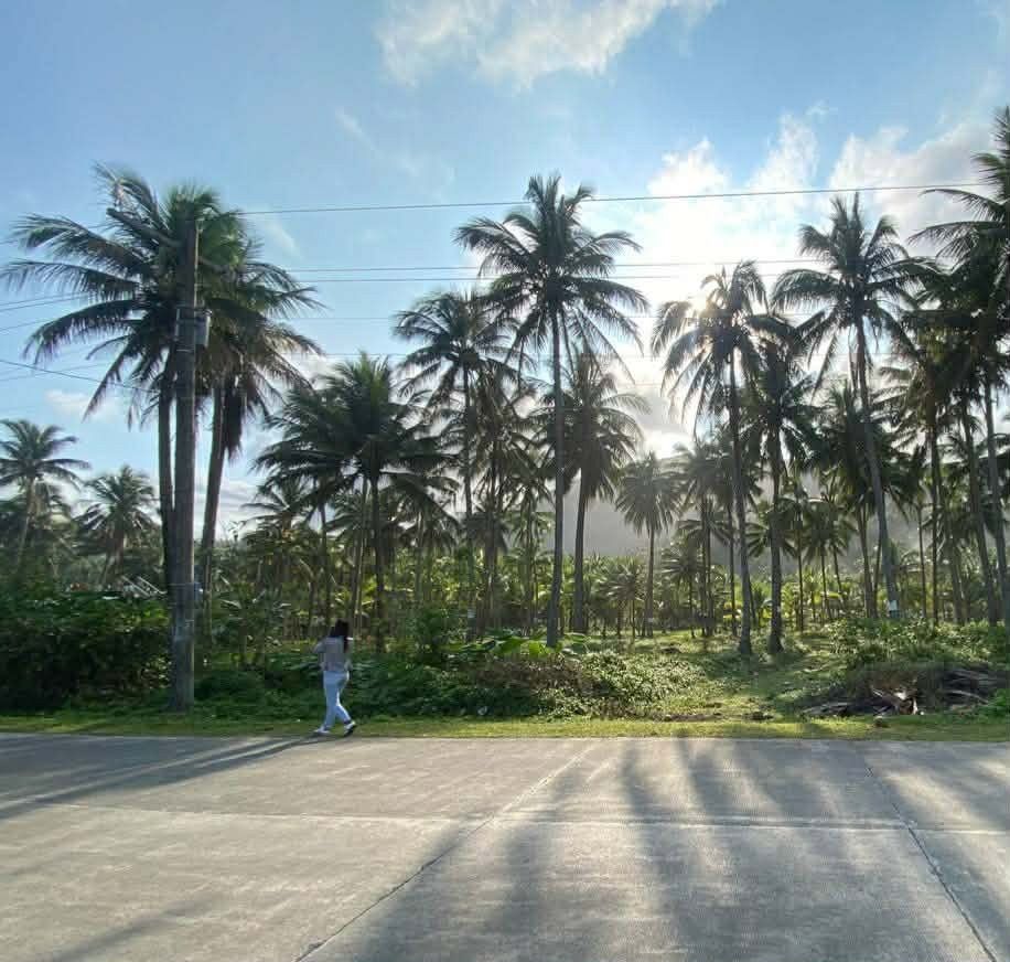 Beach Lot for Sale (Category: Lot) located in Bulacan. Submitted by gela_sr (Listing ID 1445973155, Image 3). Description: INSTALLMENT BEACH LOT‼️ 📍UMIRAY, DINGALAN, AURORA🌴🌊💚 ✅100Sqm min cut.. 15k reservation fee. 2 years to pay ✅as low as 2000/sqm spot cash promo ✅Cash or Installment pwede..0% interest ✅150m from highway, with mountain view, lifetime access to the beach ✅Very relaxing, calm surroundings, fresh air, breathtaking view..Good f