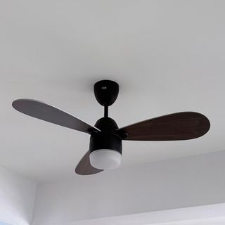 (Category: ) located in . Submitted by 15dollarshop (Listing ID 1445850423, Image 1). Description: .