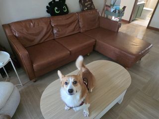 (Category: ) located in . Submitted by ginnad (Listing ID 1445878697, Image 1). Description: .