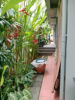 (Category: ) located in . Submitted by karups7 (Listing ID 1445803001, Image 1). Description: .