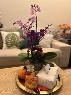 （分類：）位於 。 由 xxlaxx 提交（商品編號 1445953586，圖片 1）。簡介： 。