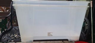 (Category: ) located in . Submitted by fongcollections (Listing ID 1445808816, Image 1). Description: .