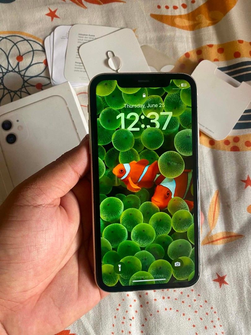 iPhone 11 with box (Category: iPhone 11 Series) located in Pasay City. Submitted by balagtasjosh (Listing ID 1445961291, Image 2). Description: iPhone 11 64gb with box & receipt No issue original all parts Any sim Factory unlock 79 battery health 🔋 Nego for sure buyer Open for swap Pasay 📍.