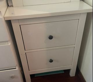 (Category: ) located in . Submitted by amyshomeandplants (Listing ID 1445794364, Image 1). Description: .