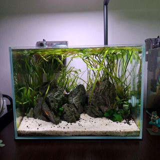 (Category: ) located in . Submitted by v3gqt (Listing ID 1445795618, Image 1). Description: .