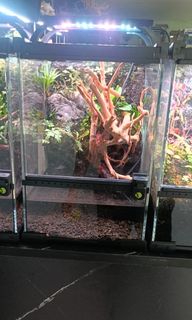 (Category: ) located in . Submitted by hakimshope02119 (Listing ID 1445833897, Image 1). Description: .