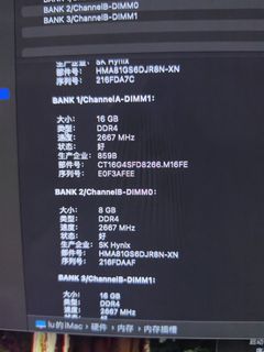 SK Hynix DDR4 2667MHz Computer Memory504748167911843840
