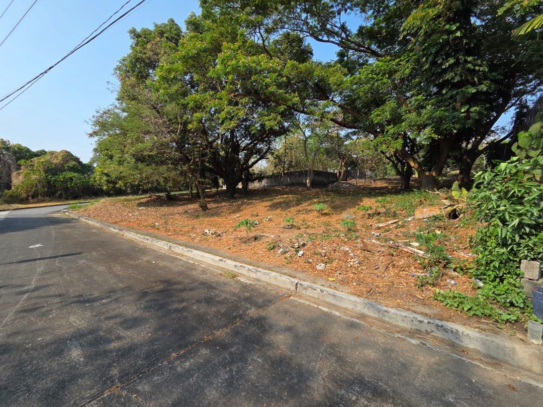 SUSANA HEIGHTS LOT (Category: Lot) located in Quezon City. Submitted by inaroman (Listing ID 1445892538, Image 3). Description: Perfect location, size and shape. This rectangular lot size will afford large gardens and swimming pool. Along one of the main road in the subdivision. Clean title, ready for development..