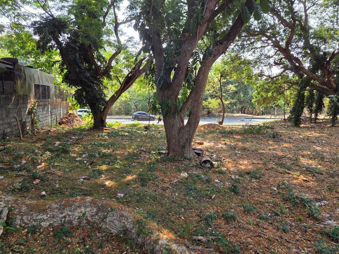 SUSANA HEIGHTS LOT (Category: Lot) located in Quezon City. Submitted by inaroman (Listing ID 1445892538, Image 2). Description: Perfect location, size and shape. This rectangular lot size will afford large gardens and swimming pool. Along one of the main road in the subdivision. Clean title, ready for development..