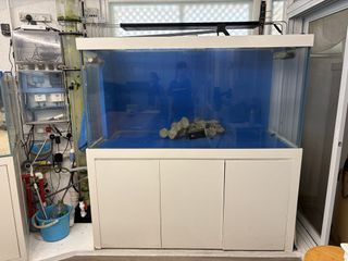 （分類：）位於 。 由 cody_ppppp 提交（商品編號 1446051576，圖片 1）。簡介： 。