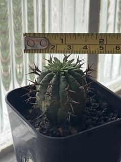 （分類：）位於 。 由 andwander_boy 提交（商品編號 1446016635，圖片 1）。簡介： 。