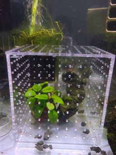 (Category: ) located in . Submitted by Craftniverse.SG (Listing ID 1445996404, Image 1). Description: .