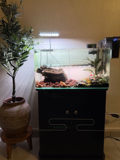 (Category: ) located in . Submitted by LittleAngel (Listing ID 1446110494, Image 1). Description: .
