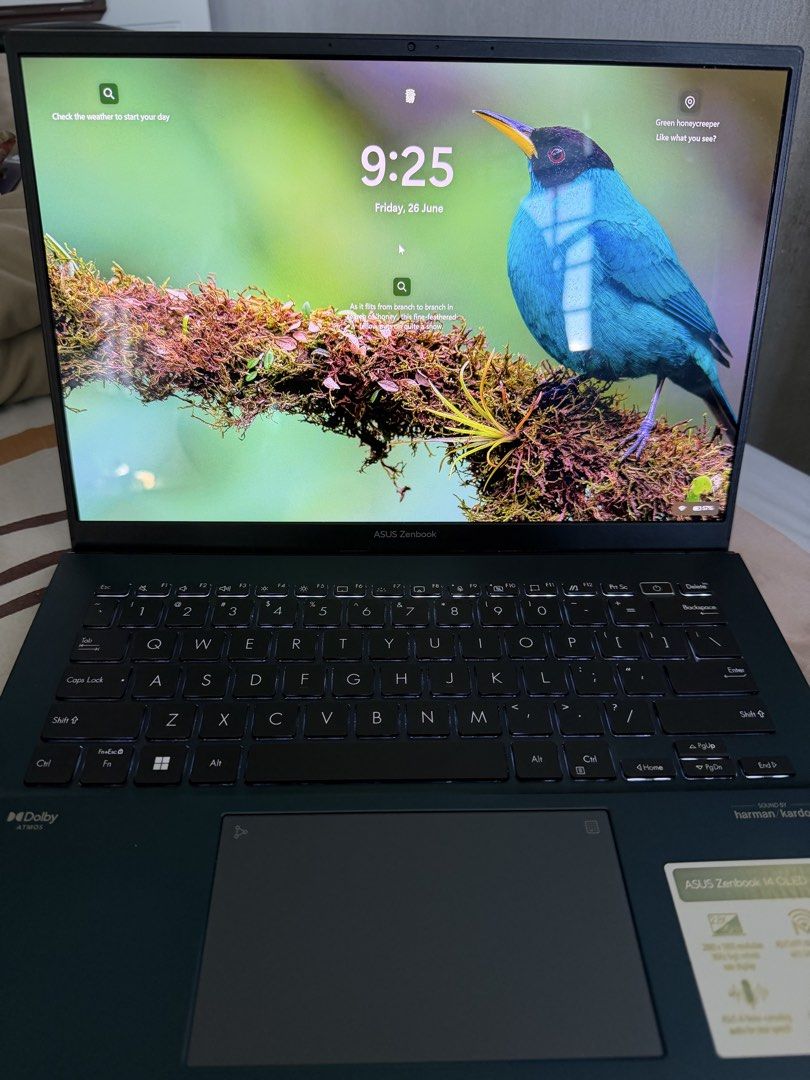 ASUS Zenbook 14 OLED (2023)Laptop