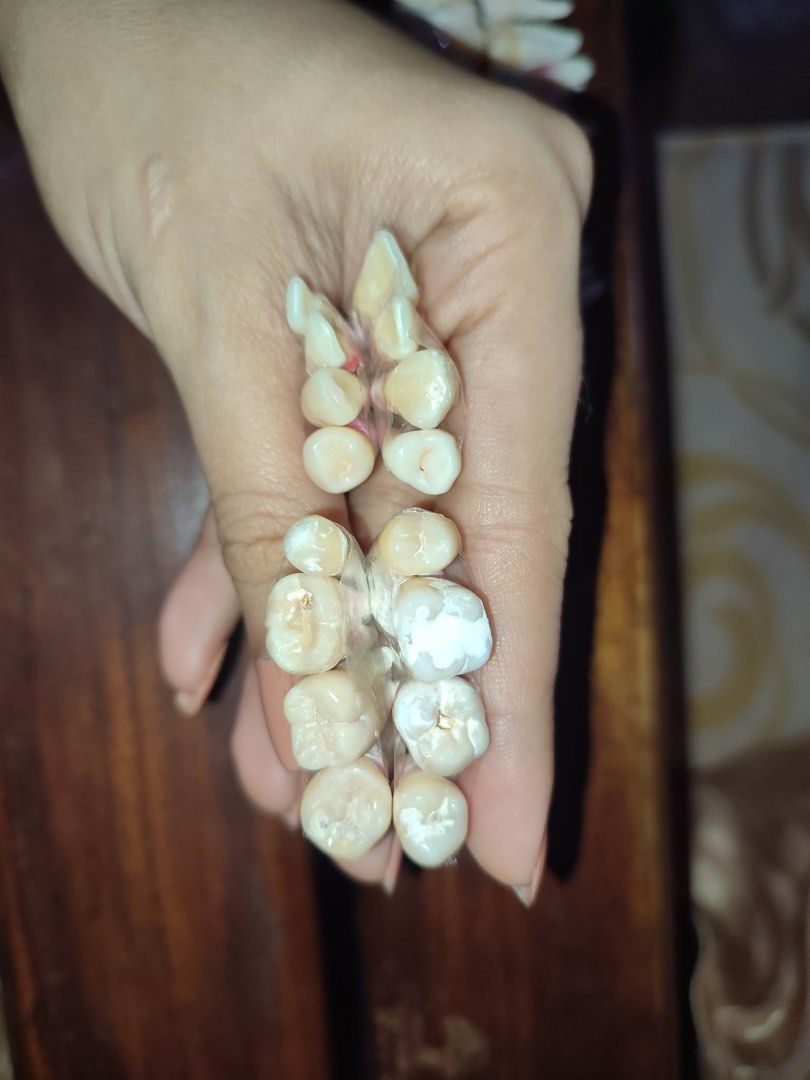 Complete set Natural teeth for dentistry student (Category: Medical Supplies & Tools) located in Jaen. Submitted by rthing427 (Listing ID 1446015401, Image 3). Description: Complete set of natural teeth for dentistry student mode of payment: g cash or bank transfer only delivery: shope e check out or lalamov e.