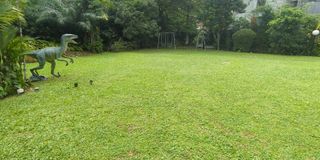(Category: ) located in . Submitted by karups7 (Listing ID 1446005196, Image 1). Description: .