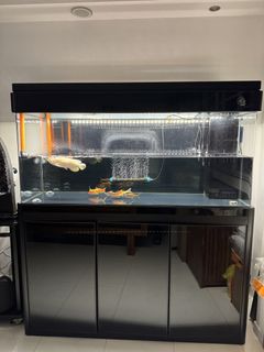 (Category: ) located in . Submitted by sky3456 (Listing ID 1446006214, Image 1). Description: .