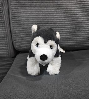 (Category: ) located in . Submitted by houseofeverythingok (Listing ID 1446128690, Image 1). Description: .