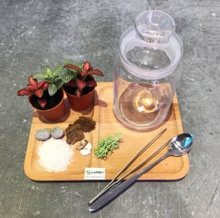 (Category: ) located in . Submitted by lushglassdoor (Listing ID 1446048156, Image 1). Description: .