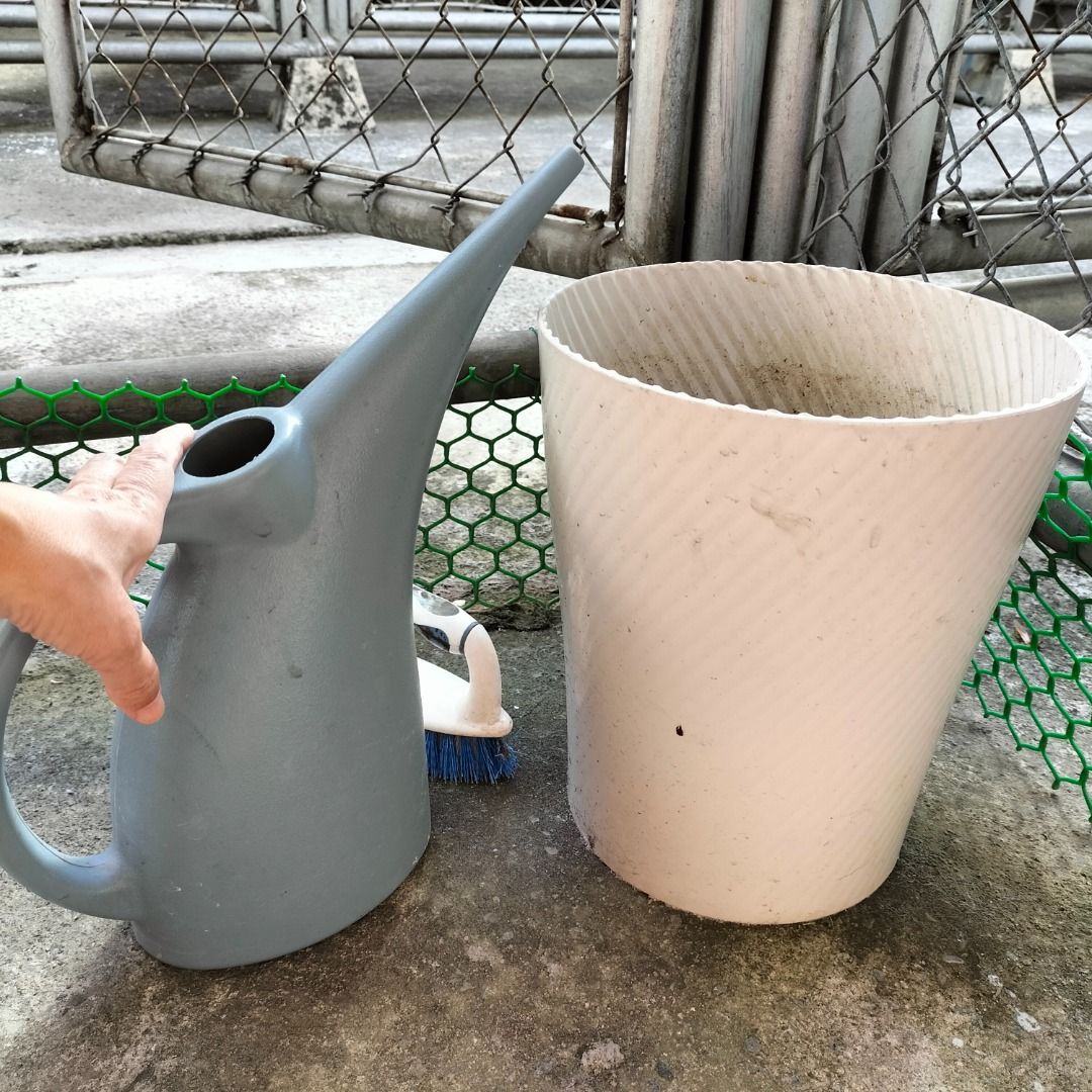 Watering can long spout (Category: Gardening Tools & Ornaments) located in Paranaque City. Submitted by decluttering-all (Listing ID 1445311617, Image 2). Description: Plastic Watering can long spout good size P149 only seldom used, good condition decluttering pick-up beside Toyota Bicutan Paranaque payment through BPI or gcash.